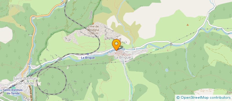 localisation de l'entreprise BASSINI  LA BRIGUE