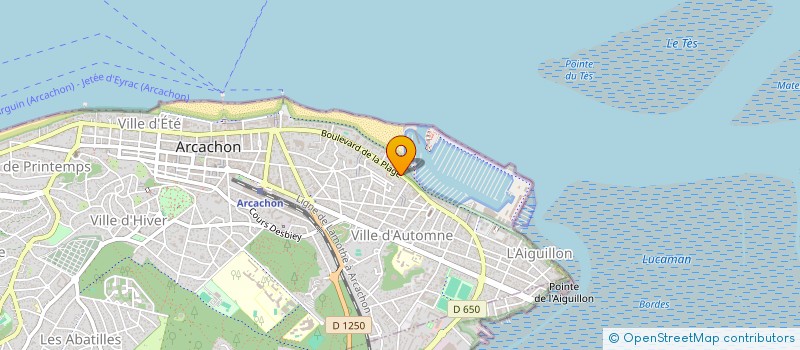 localisation de l'entreprise BATEAU TAXI LE PASSEUR à LA TESTE-DE-BUCH