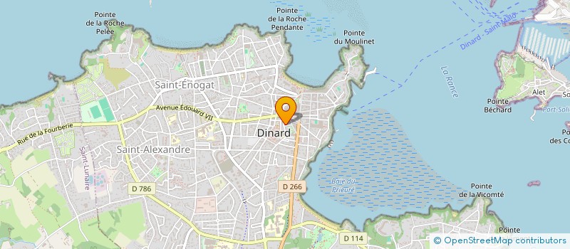 localisation de l'entreprise BATEAU VERT  DINARD