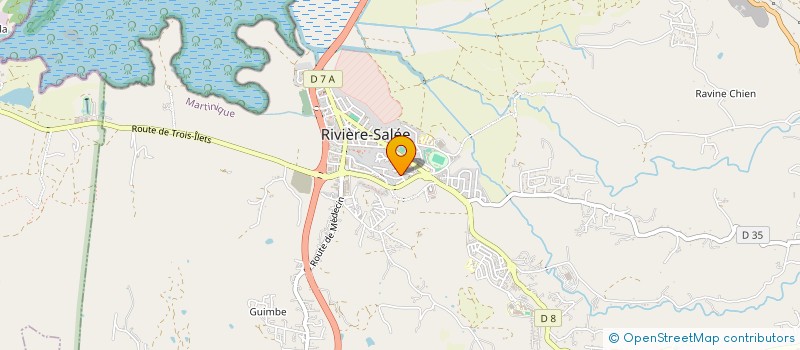 localisation de l'entreprise BATI DAN  RIVIERE-SALEE