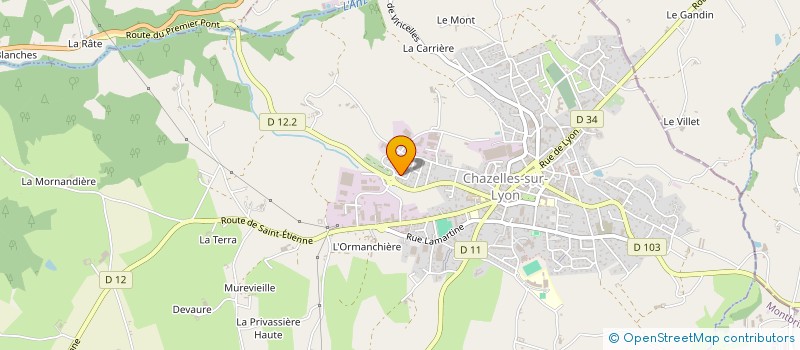 localisation de l'entreprise BATI DECO SERVICE à CHAZELLES-SUR-LYON
