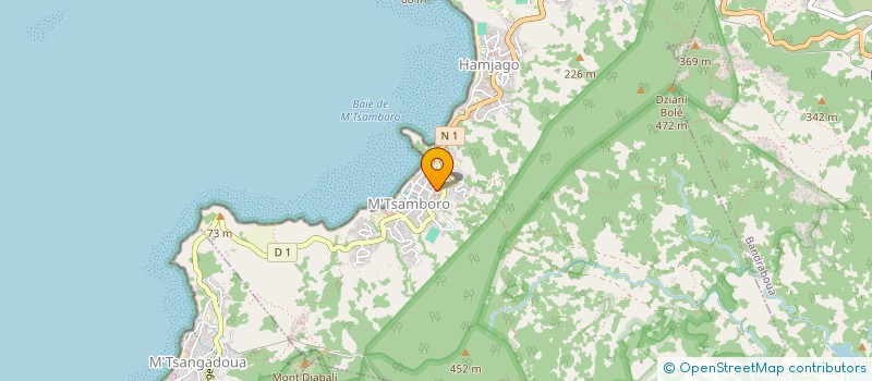localisation de l'entreprise BATI MOVE SERVICES à MTSAMBORO