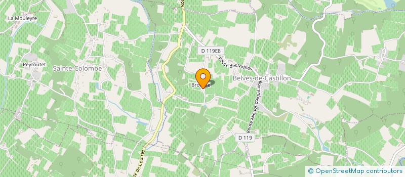 localisation de l'entreprise BATI-SERVICES  BELVES-DE-CASTILLON