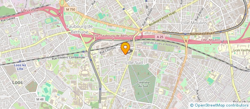 localisation de l'entreprise BATIMENT TRAVAUX PLOMBERIE SERVICES à LILLE
