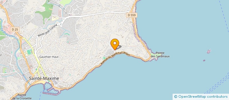 localisation de l'entreprise BATISSES AVENIR à SAINTE-MAXIME