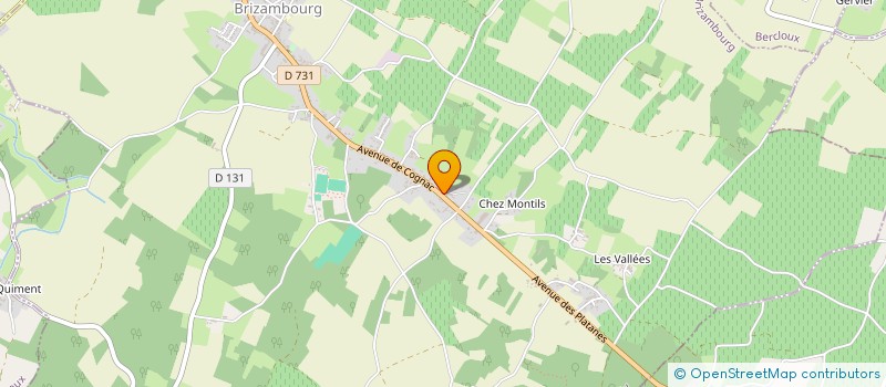 localisation de l'entreprise BAUDRIT FRERES  BRIZAMBOURG