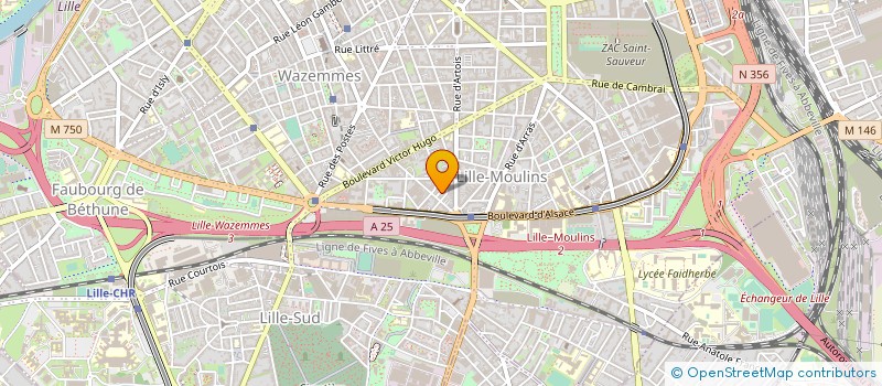 localisation de l'entreprise BAYA à LILLE