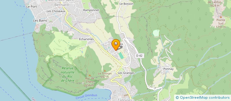 localisation de l'entreprise BAYARD NF  TALLOIRES-MONTMIN