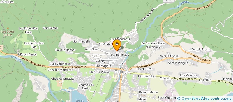 localisation de l'entreprise BAYARDIMMO  TANINGES