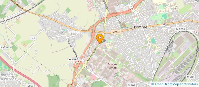 localisation de l'entreprise BAZAR N'GUELE INTERNATIONAL  CAPINGHEM