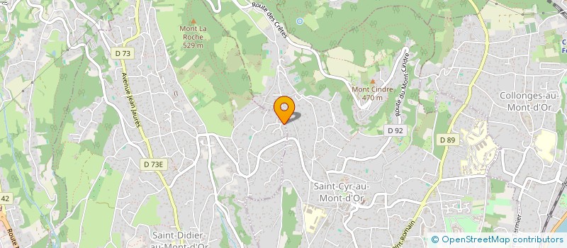 localisation de l'entreprise BBS à SAINT-DIDIER-AU-MONT-D'OR