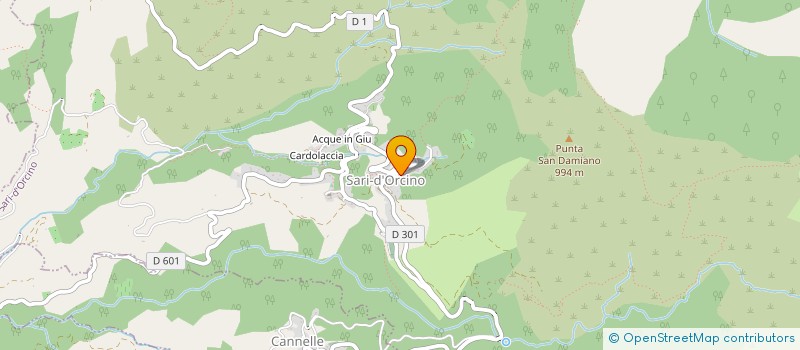 localisation de l'entreprise BBS SERVICES  SARI D'ORCINO