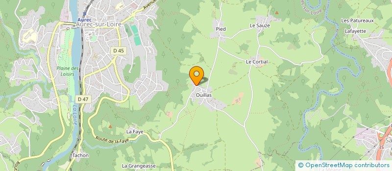 localisation de l'entreprise BCGM IMMO  AUREC-SUR-LOIRE