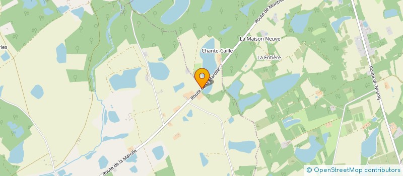 localisation de l'entreprise BDI CONSULTING  MONTRIEUX-EN-SOLOGNE