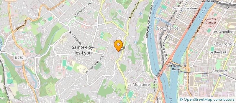 localisation de l'entreprise BDP INTERFACE à SAINTE-FOY-LES-LYON