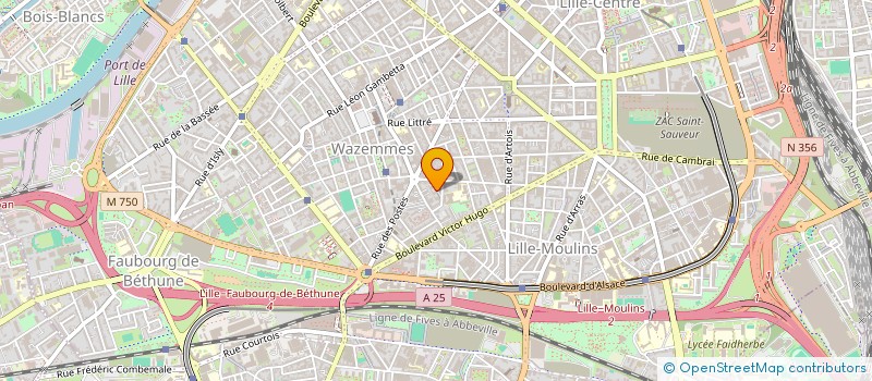 localisation de l'entreprise BEARS AND ROCKETS  LILLE