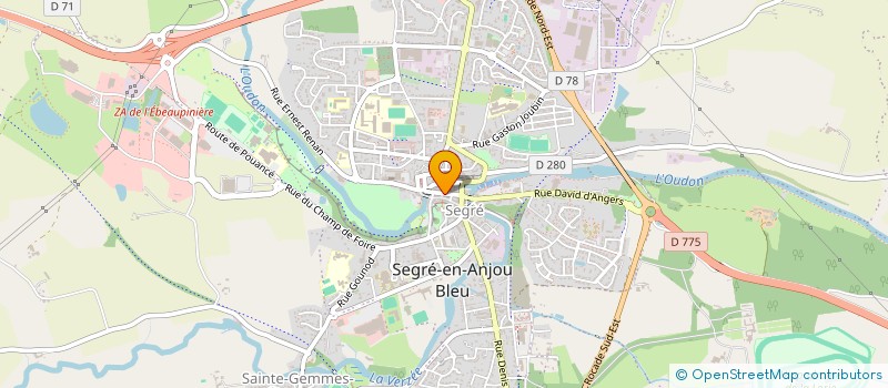 localisation de l'entreprise BEDIMMO à SEGRE-EN-ANJOU BLEU