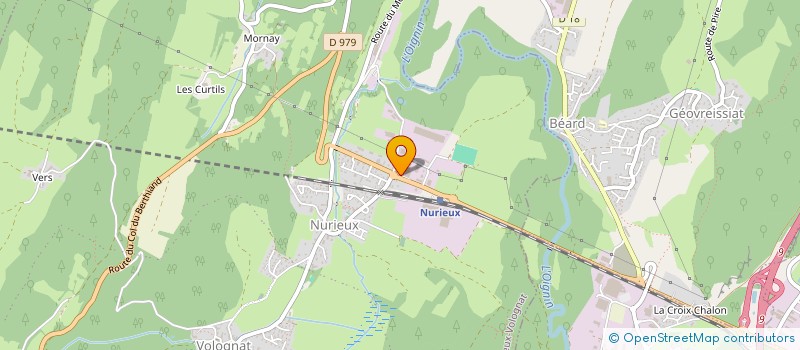 localisation de l'entreprise BEGIC  NURIEUX-VOLOGNAT