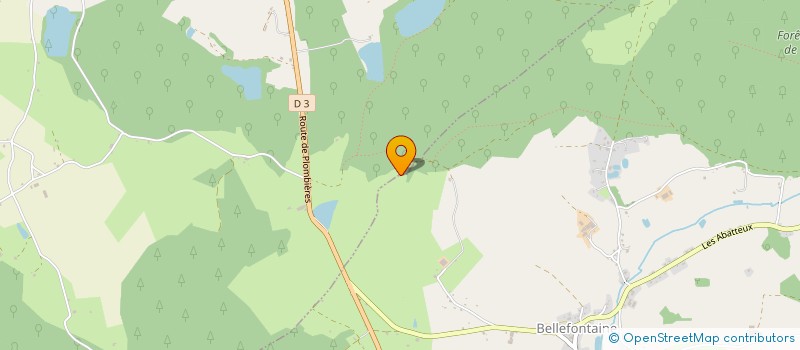 localisation de l'entreprise BELF'TRANSPORT  EPINAL