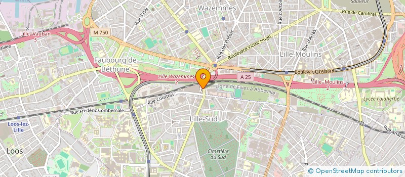 localisation de l'entreprise BELFOOD FRANCE à LILLE
