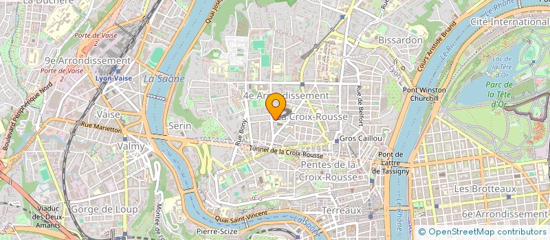 localisation de l'entreprise BELIMMO  LYON