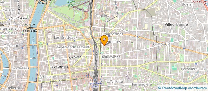 localisation de l'entreprise BELLAVITA  LYON