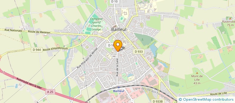 localisation de l'entreprise BELLE A TABLE à BAILLEUL
