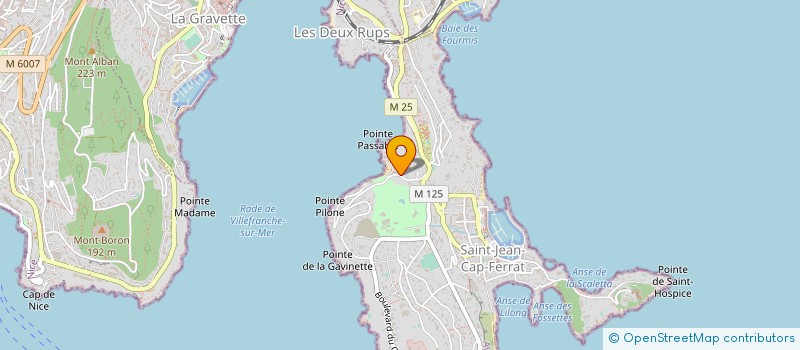 localisation de l'entreprise BELLE D AZUR à SAINT-JEAN-CAP-FERRAT