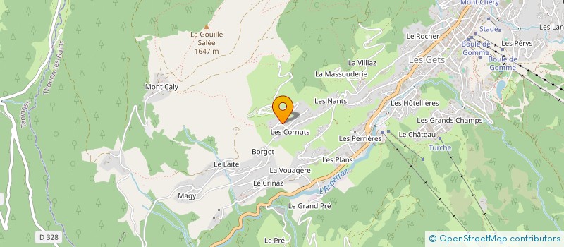 localisation de l'entreprise BELLE PLAGNE à LES GETS