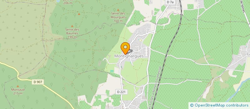 localisation de l'entreprise BELLOIN FLORENT DISTRIBUTION SERVICES  MONTIGNARGUES