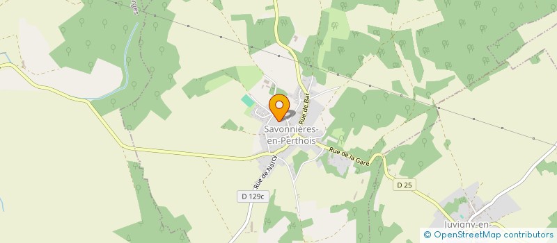 localisation de l'entreprise BELLORINI SARL à SAVONNIERES-EN-PERTHOIS