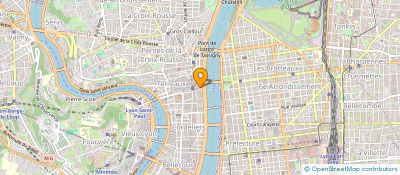 localisation de l'entreprise BELLY FULL MAMA à LYON
