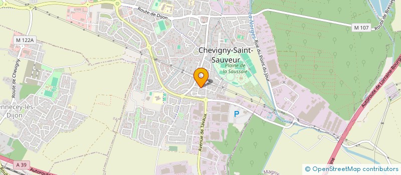 localisation de l'entreprise BELS  CHEVIGNY-SAINT-SAUVEUR