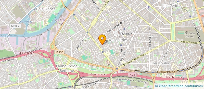localisation de l'entreprise BELU  LILLE