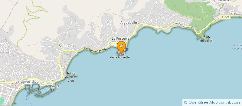 localisation de l'entreprise BEMO SA - LEMA SA  LE LAVANDOU