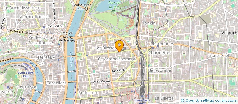 localisation de l'entreprise BEN'S FOODIES  LYON