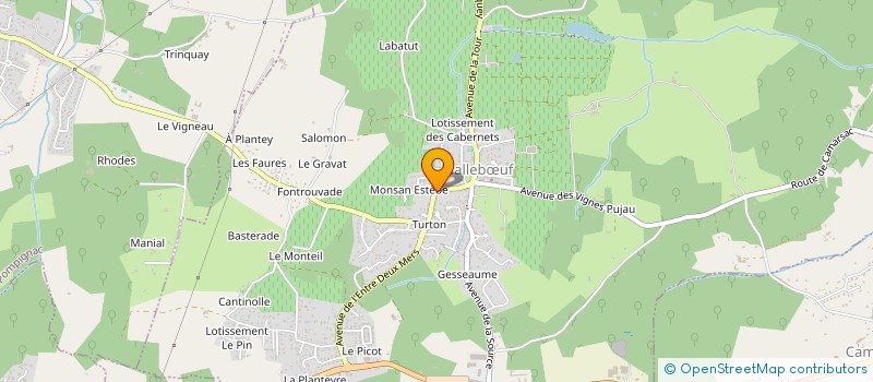 localisation de l'entreprise BENANZO  SALLEBUF