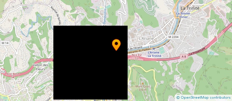 localisation de l'entreprise BENAVENT TRANSPORTS SERVICES à NICE