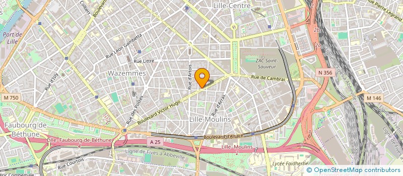 localisation de l'entreprise BENGRINE K ET DELECOURT M-F à LILLE