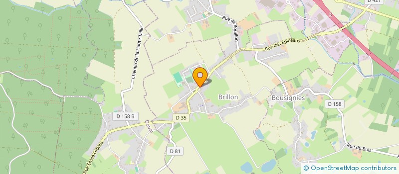 localisation de l'entreprise BENJAMIN RIDON INVEST  BRILLON