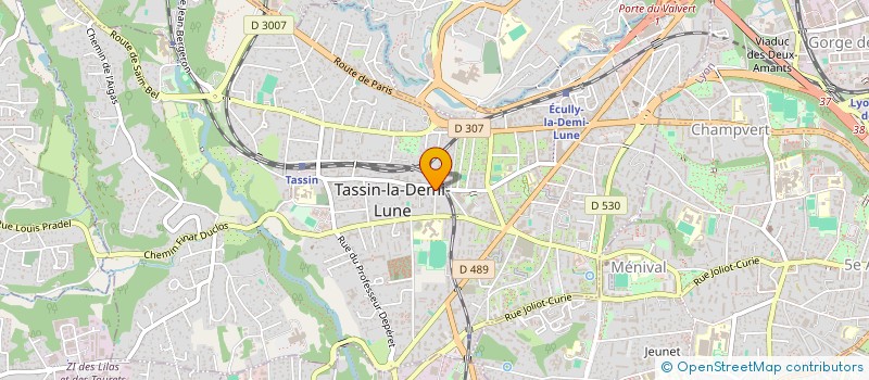 localisation de l'entreprise BENJAMIN SAMIER CONSEIL SASU  TASSIN-LA-DEMI-LUNE