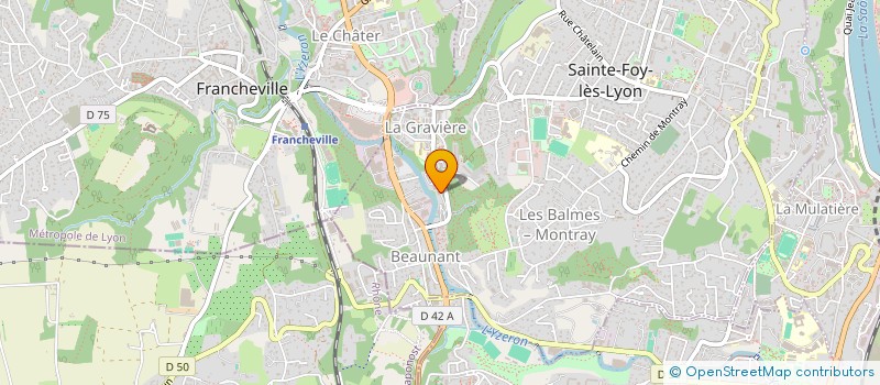 localisation de l'entreprise BENJOBLIS  SAINTE-FOY-LES-LYON