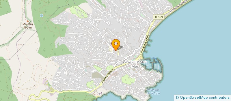 localisation de l'entreprise BENKHEDDA INDIVISION à CAVALAIRE-SUR-MER