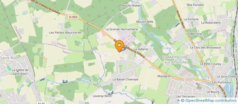 localisation de l'entreprise BENNU BIRDS  LA MEMBROLLE-SUR-CHOISILLE