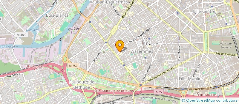 localisation de l'entreprise BENOIT DIAGNE à LILLE