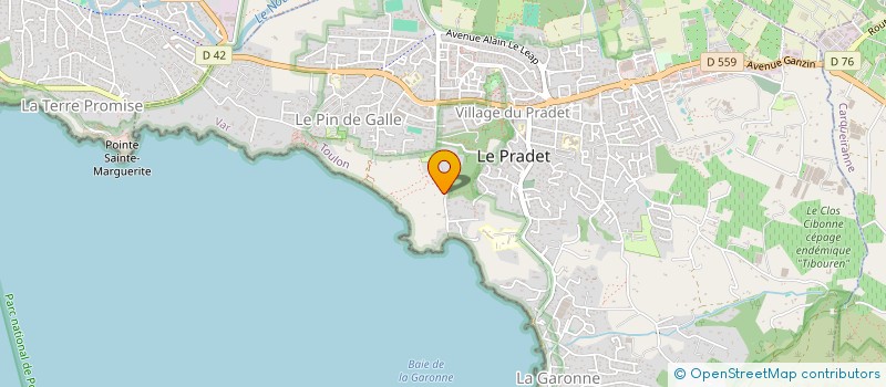 localisation de l'entreprise BERENICE  LE PRADET