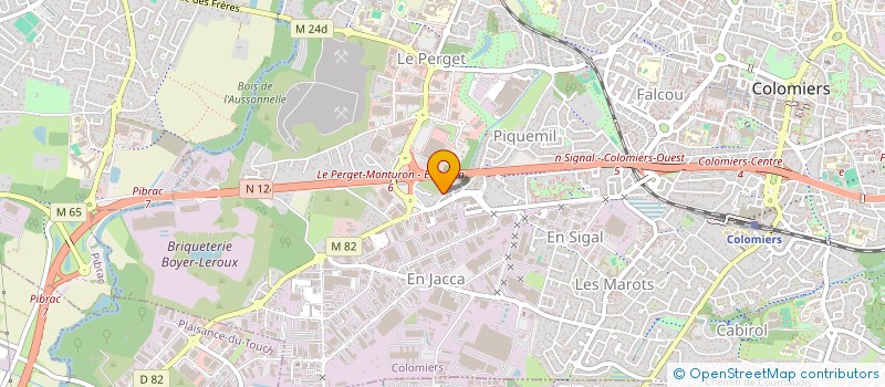 localisation de l'entreprise BERENICE & CO - MEDIATION PAR L'ANIMAL  COLOMIERS