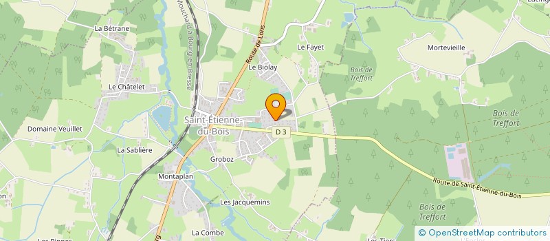 localisation de l'entreprise BERGER BOIS à SAINT-ETIENNE-DU-BOIS