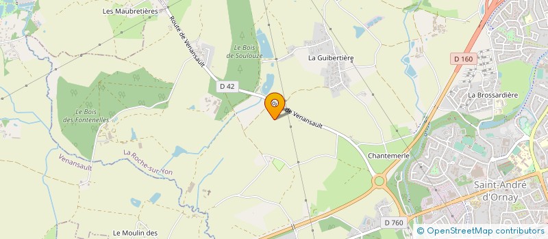 localisation de l'entreprise BERNEREAU INVESTISSEMENTS  ROCHE SUR YON (LA)