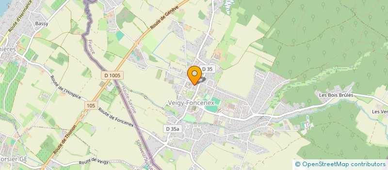 localisation de l'entreprise BERRIRI IMMOGROUP  VEIGY-FONCENEX